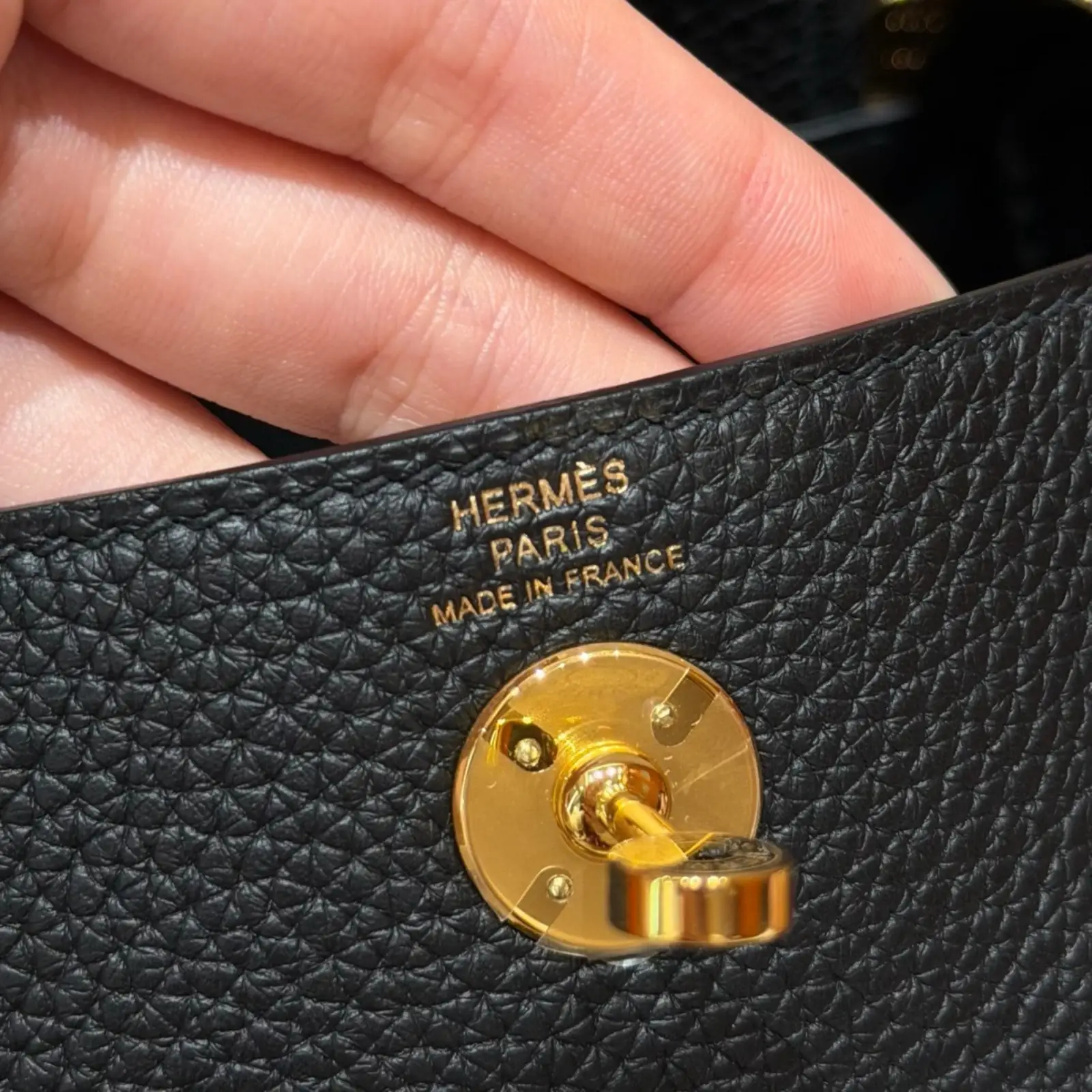 Mini Lindy Noir - Image 6