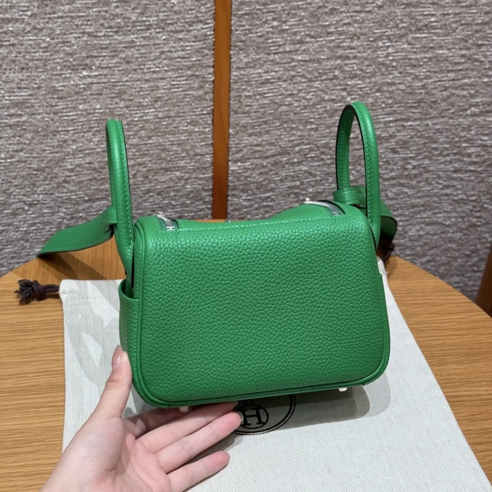 Mini Lindy Jert Yucca - Image 5