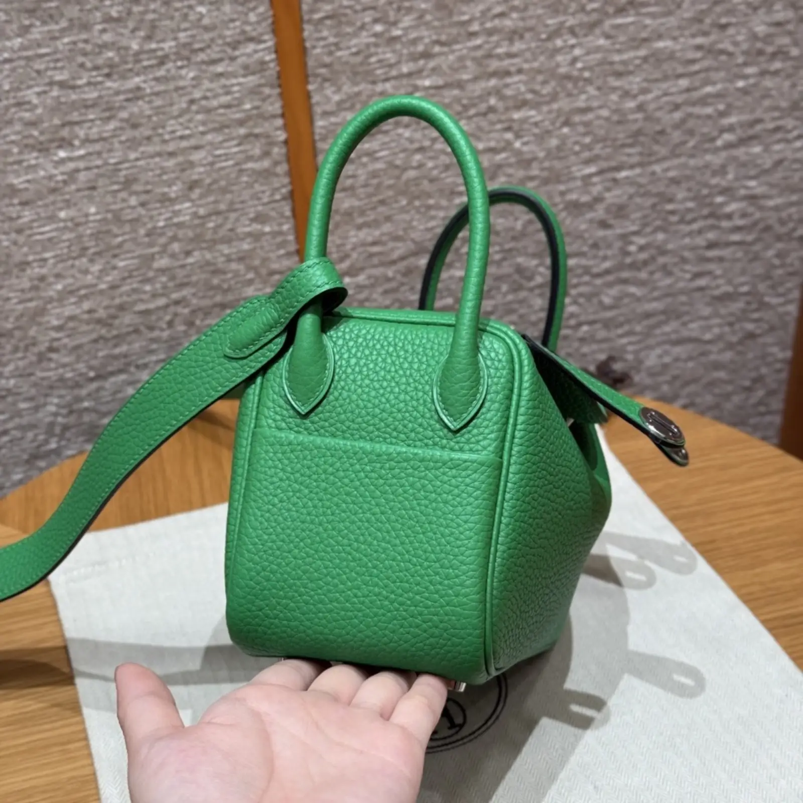 Mini Lindy Jert Yucca - Image 6