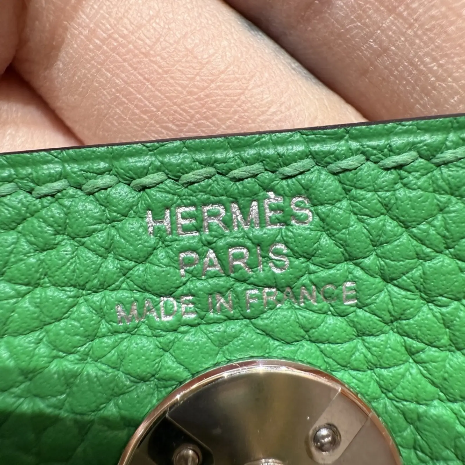 Mini Lindy Jert Yucca - Image 3