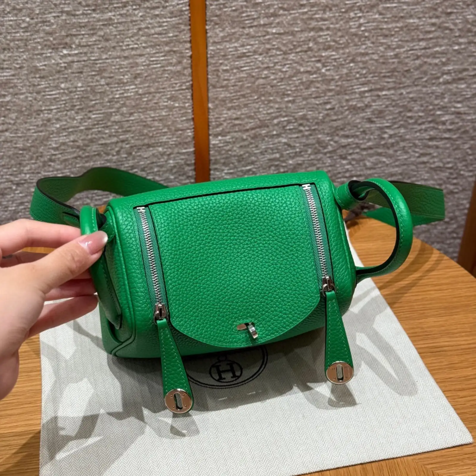 Mini Lindy Jert Yucca - Image 2