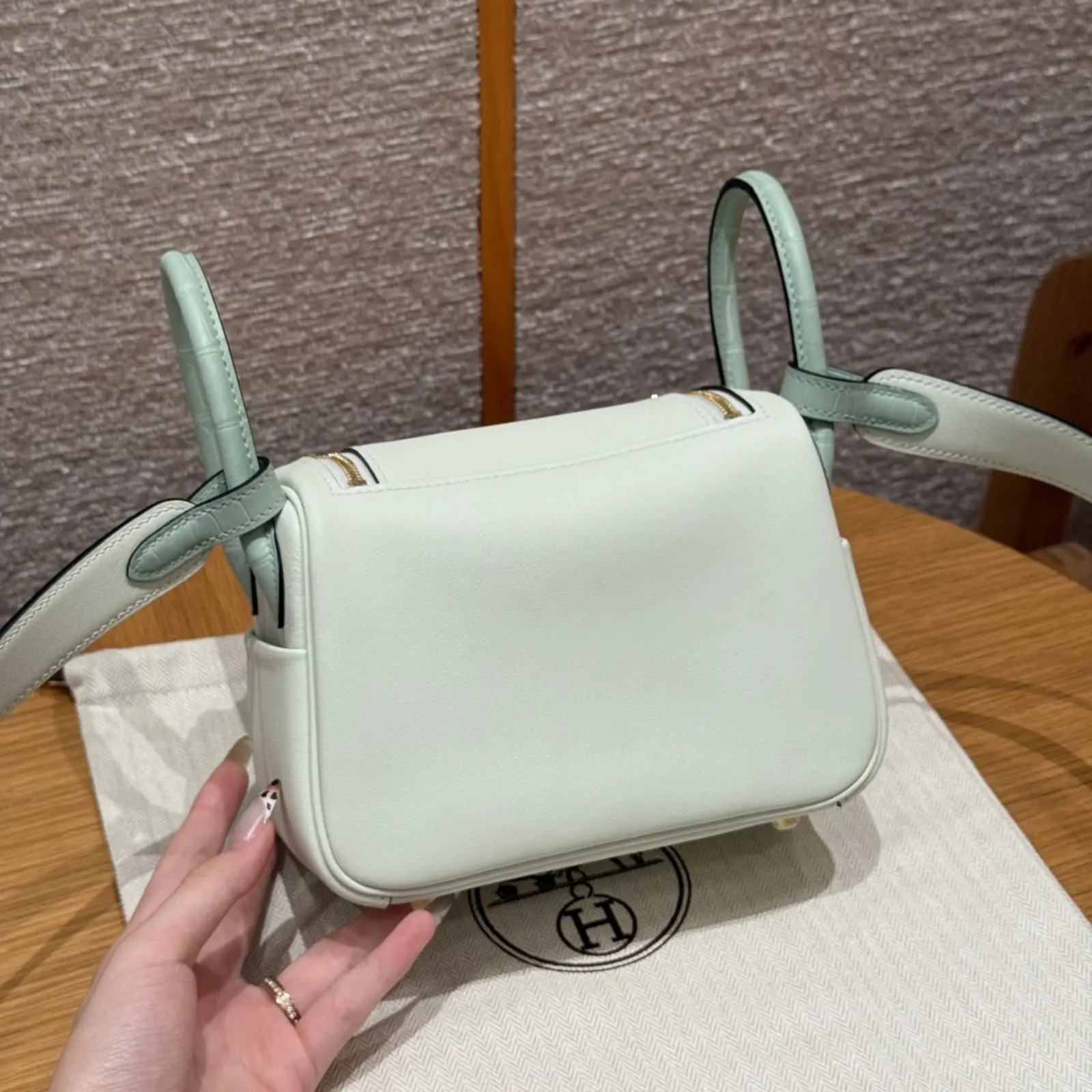 Mini Lindy Vert Fizz Matte Alligator - Image 2