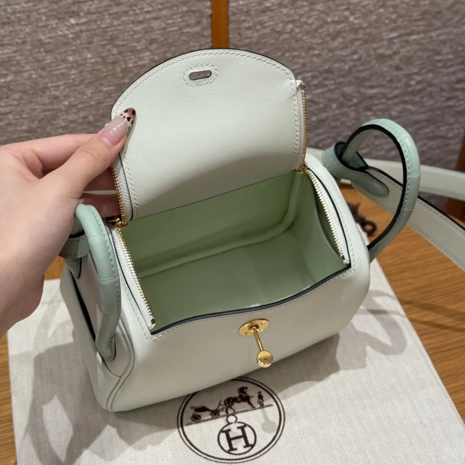 Mini Lindy Vert Fizz Matte Alligator - Image 5