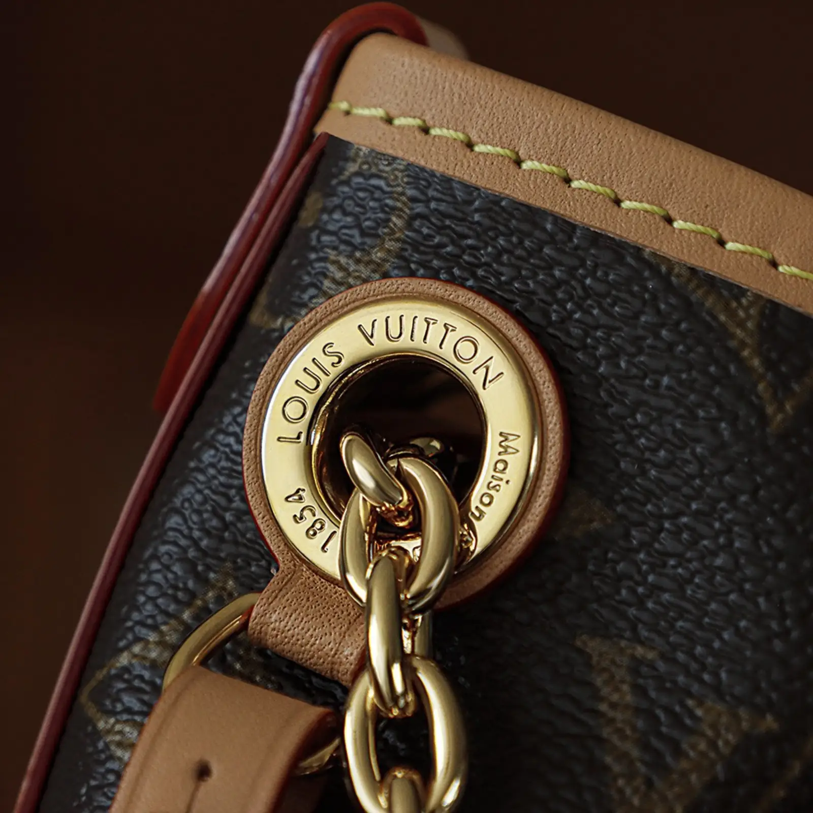 LV Carryall BB - Image 5