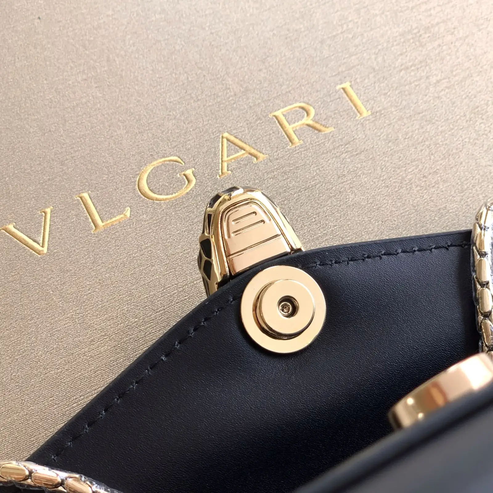 BVG -Serpenti Forever - Image 5